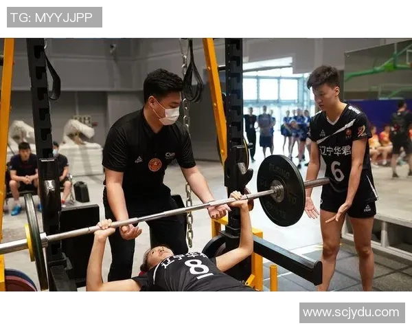 上海排球队的耐力训练与比赛表现深度剖析与启示