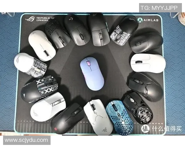 DOTA2装备选购指南：如何选择适合你的游戏鼠标推荐