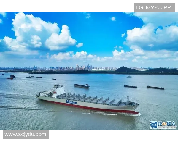 专业解析LNG市场的盯防策略与应对措施探讨