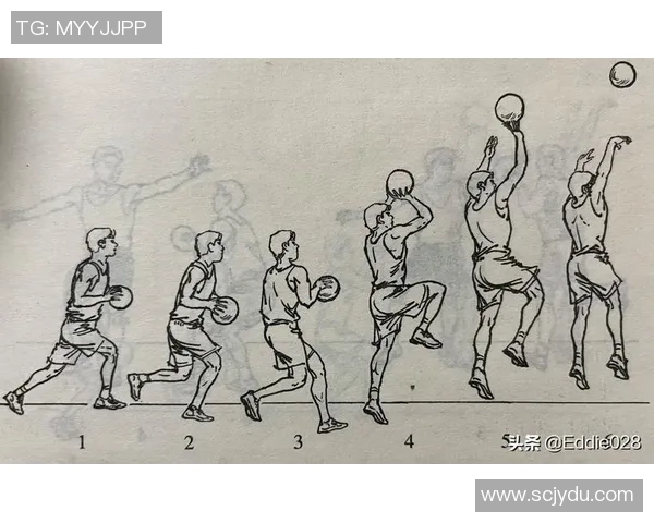 从零基础到篮球高手的全面技术提升指南与实战技巧分享