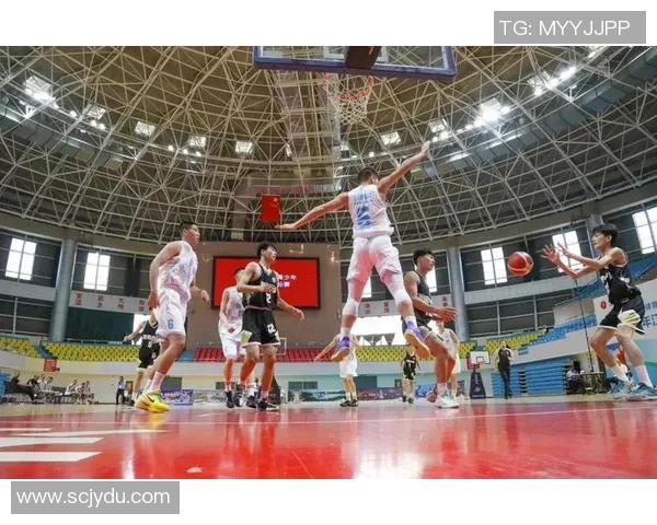 南京篮球队实力飙升力创篮球力量排名新高引发关注