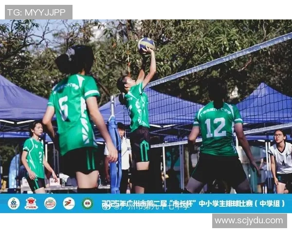 广州排球队的比赛经验分享与成长之路探讨