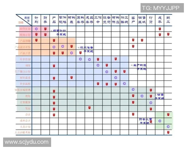 广州攀岩队协作表现数据分析揭示团队配合与成绩之间的关系